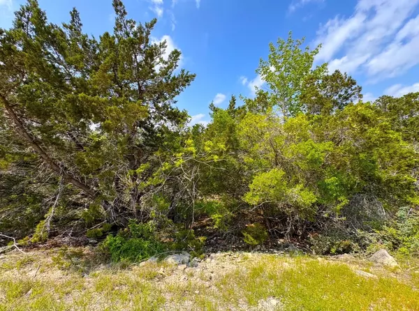 Canyon Lake, TX 78133,985 OBLATE DR DR
