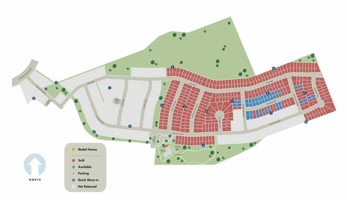 Georgetown, TX 78628,804 Sun Grove TRL