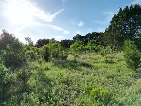 Bertram, TX 78605,Lot 46 Serenity DR