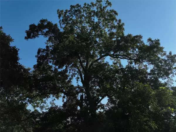 Brenham, TX 77833,TBD Lot 2 Randermann RD
