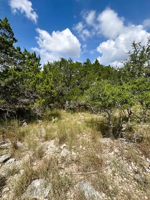 Fischer, TX 78623,TBD LOT 2 Soaring Eagle DR