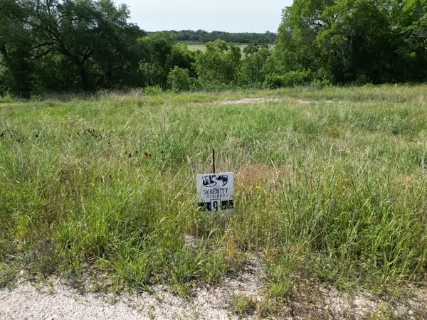 Liberty Hill, TX 78642,204 Serenity DR
