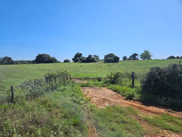 8544 CR 322, Milano, TX 76556