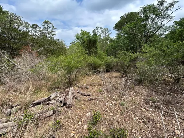 La Grange, TX 78945,Lot 54 Rick RD