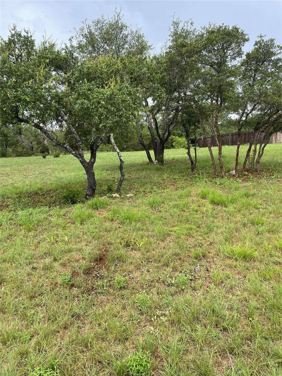 Driftwood, TX 78619,380 Onion Creek LN
