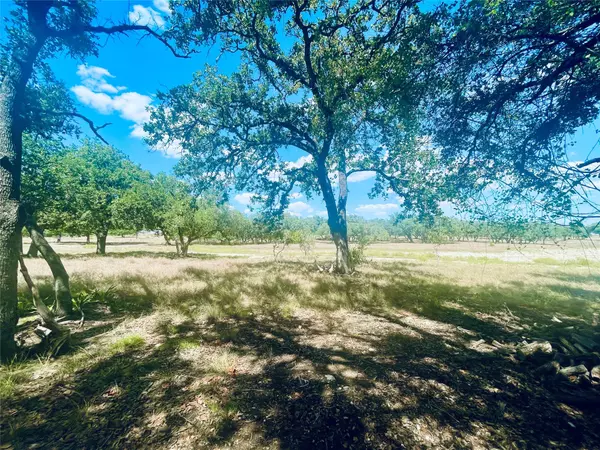 Johnson City, TX 78636,233 Towhead Valley RD