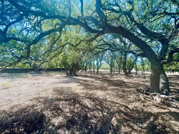 Johnson City, TX 78636,233 Towhead Valley RD