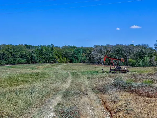 Kingsbury, TX 78638,5400 Gander Slough RD