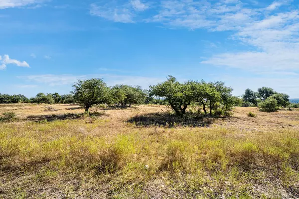Johnson City, TX 78636,199 Flat Rock WAY