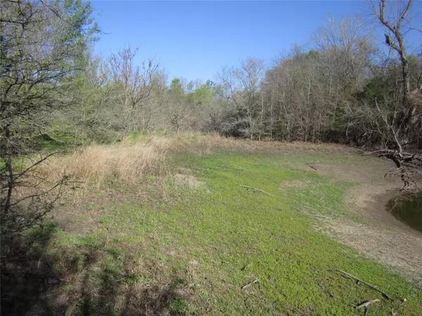 Elgin, TX 78621,851 County Road 491