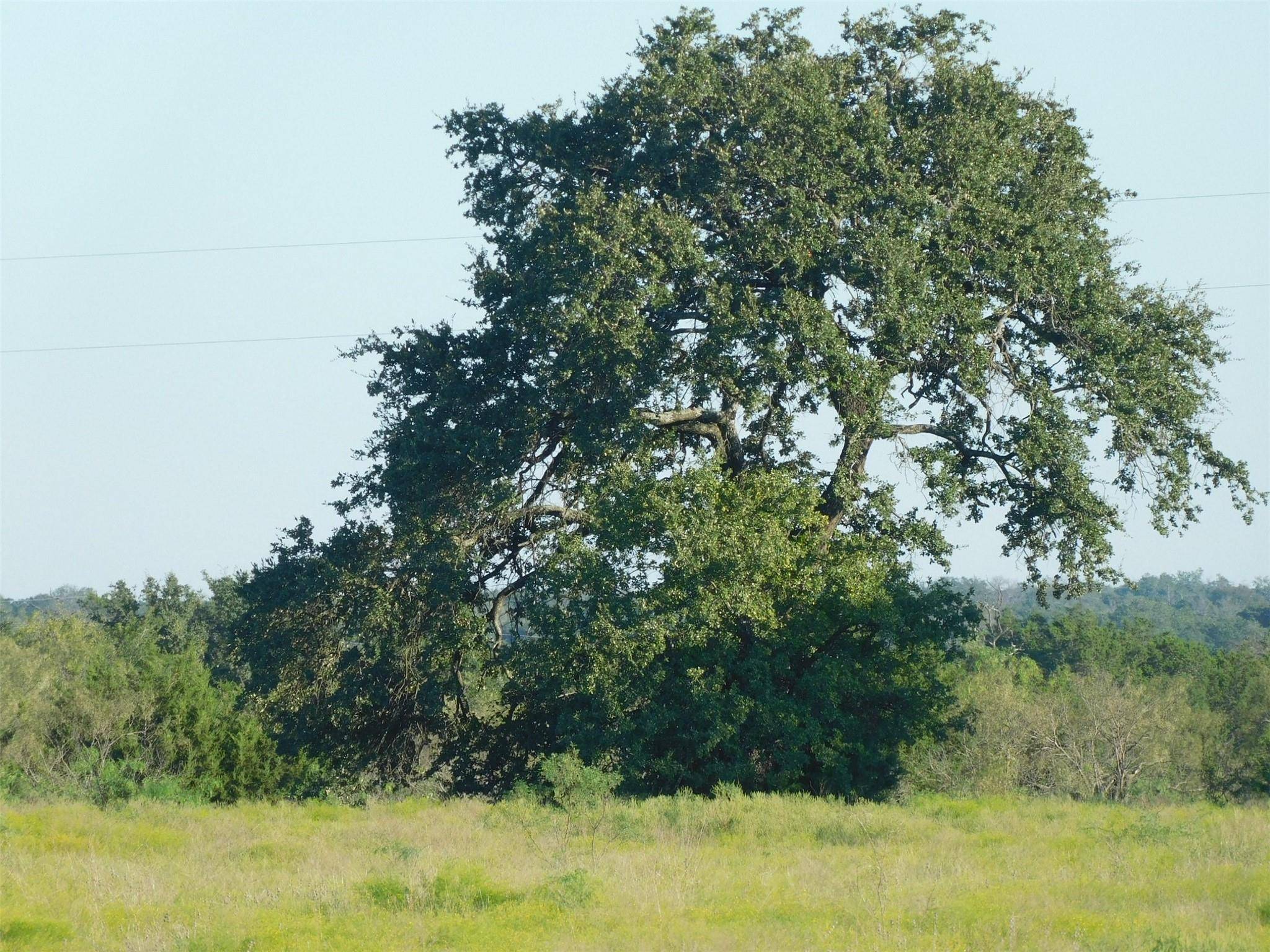 Evant, TX 76525,TBD (LOT 5) PR 4218