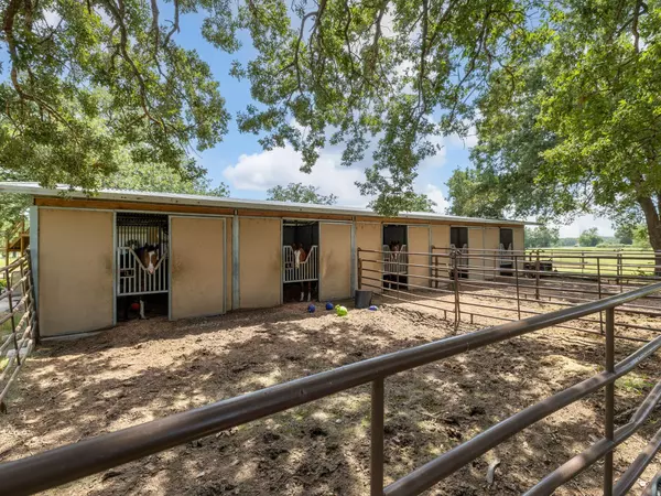 Thrall, TX 76578,2995 County Road 442