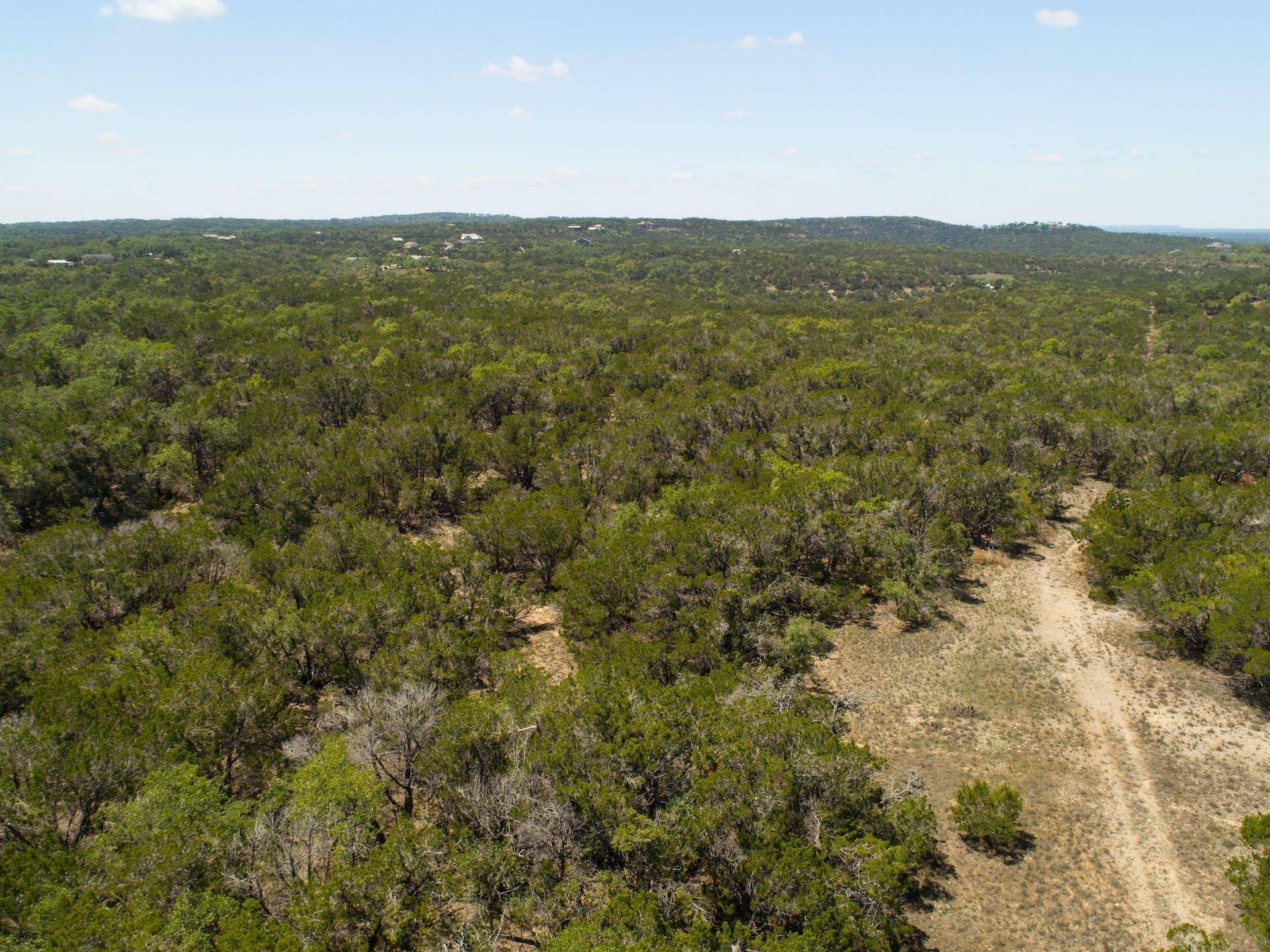 Dripping Springs, TX 78620,00 Martin RD