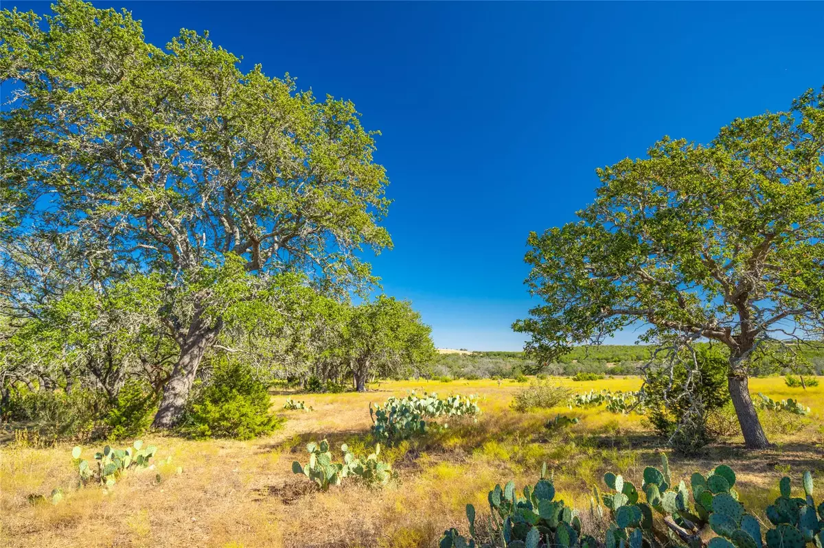 Fredericksburg, TX 78624,391 Henry P Schmidt RD