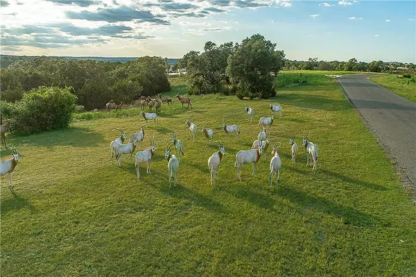Blanco, TX 78606,Lot 129 & 130 Lynx Cove RD
