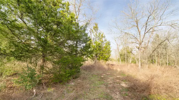 Milano, TX 76556,363 Private Road 3745