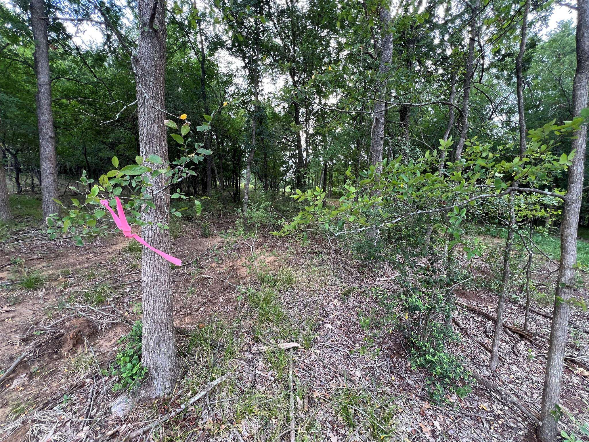 Elgin, TX 78621,TBD FM 3000 Tract 1