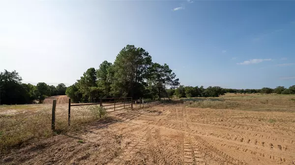 Rosanky, TX 78953,TBD TRACT 8 CEDAR ROCK RD