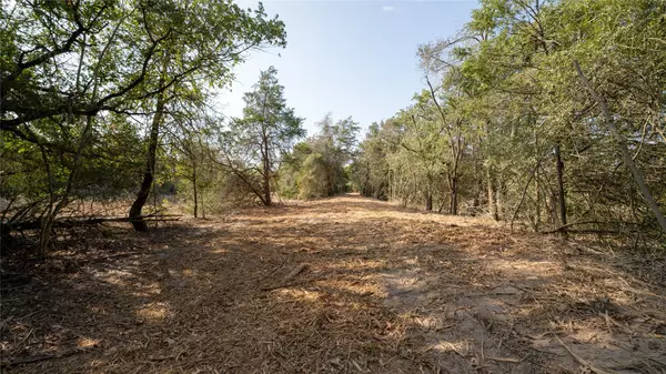 Rosanky, TX 78953,TBD TRACT 8 CEDAR ROCK RD