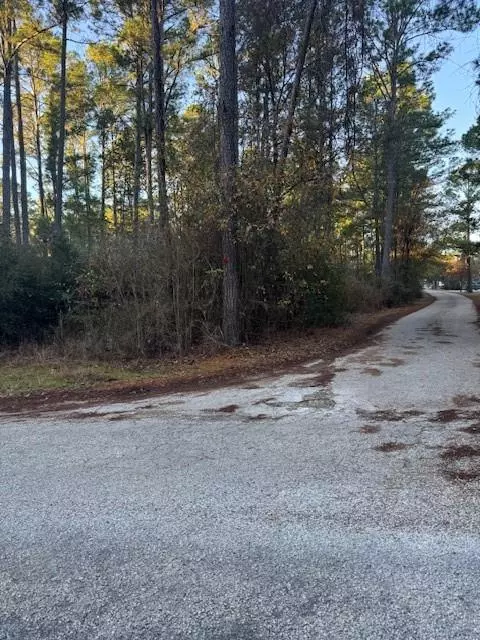 Bastrop, TX 78602,103 Lake Point WAY