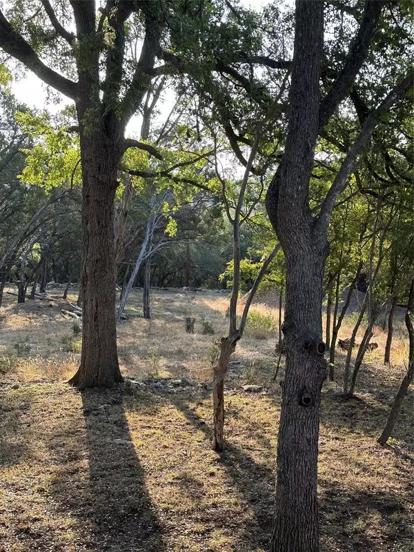 Wimberley, TX 78676,12333A Ranch Rd 12 #1