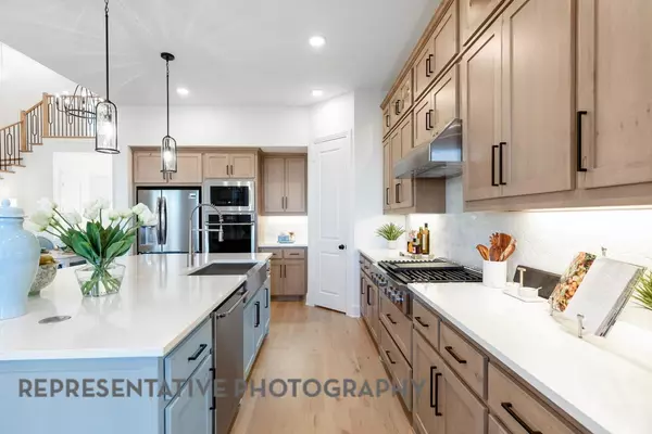 Hutto, TX 78634,909 Rock Daisy TRL