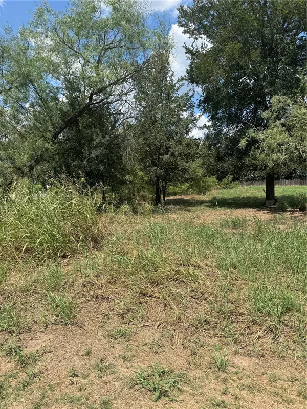 Bastrop, TX 78602,Lot 404 W Pauwela LN