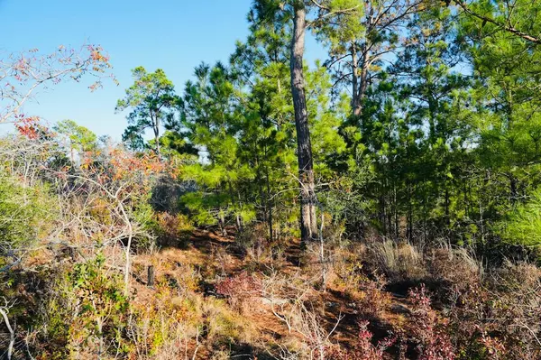 Bastrop, TX 78602,Lot132 Pahala CT