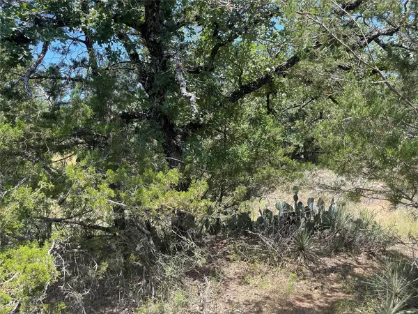 Granite Shoals, TX 78654,TBD E Castlelakes DR