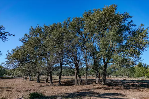 Blanco, TX 78606,TBD 281 HWY