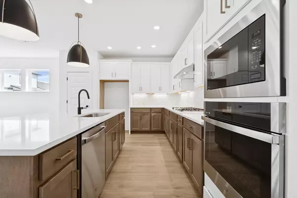 Buda, TX 78610,279 Flowering Senna DR