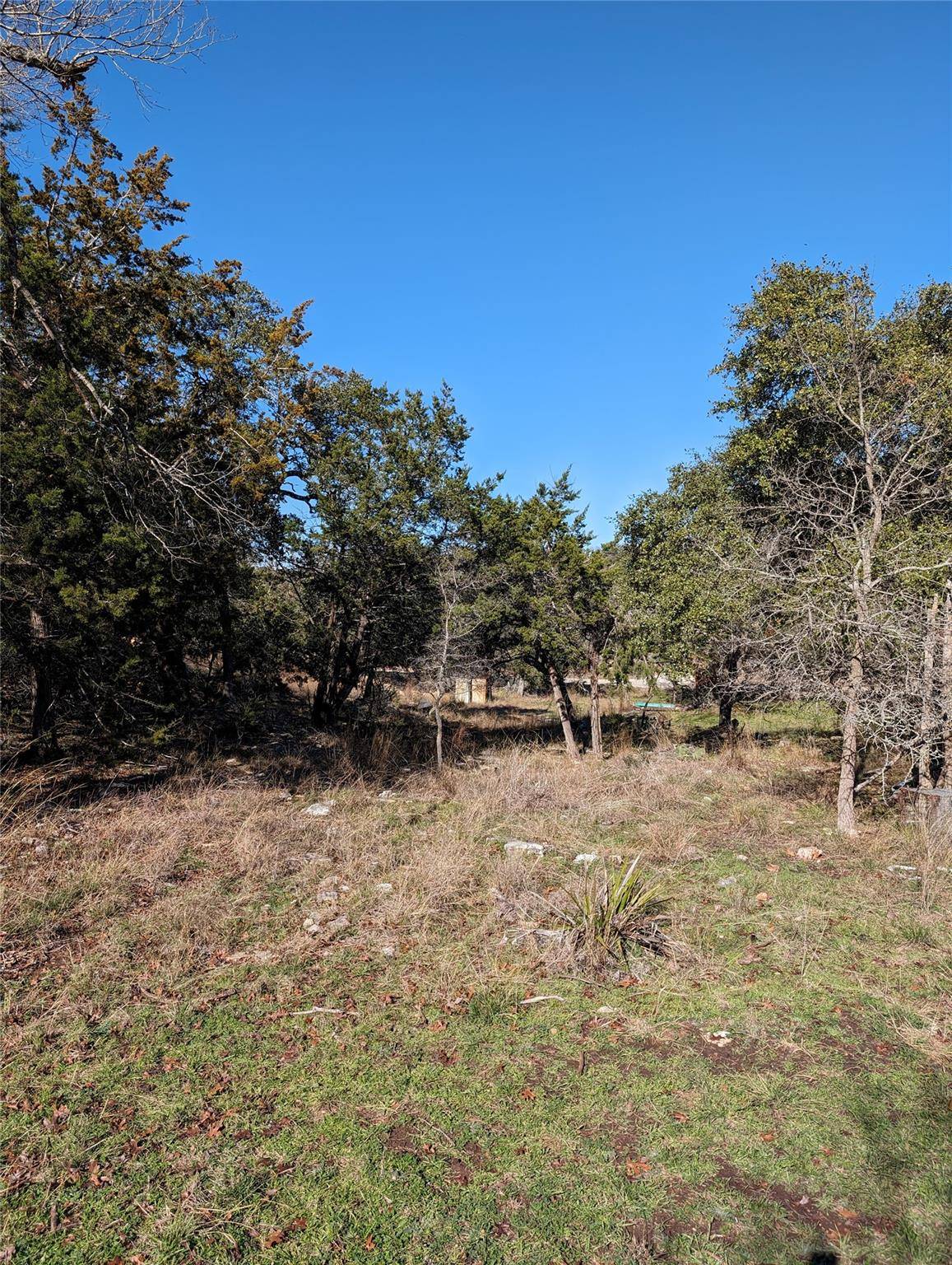 Dripping Springs, TX 78620,201 Mystic Creek DR