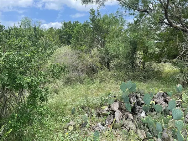 Granite Shoals, TX 78654,Lots 112-113 Cedar HL