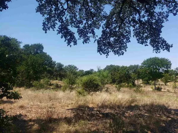 Buchanan Dam, TX 78609,Lot 27 Sierra Bluff BLF