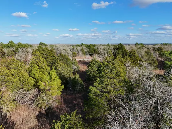 Paige, TX 78659,Lot 8 South Old Potato RD