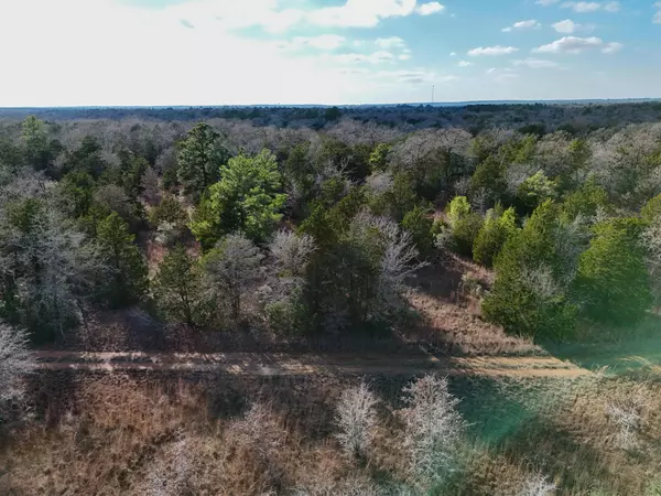 Paige, TX 78659,Lot 8 South Old Potato RD