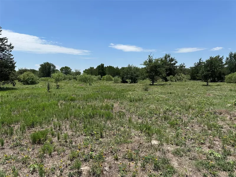 Tract 3D Hwy 95 HWY, Smithville, TX 78957