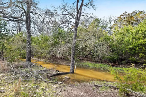 Dripping Springs, TX 78620,262 Beauchamp RD