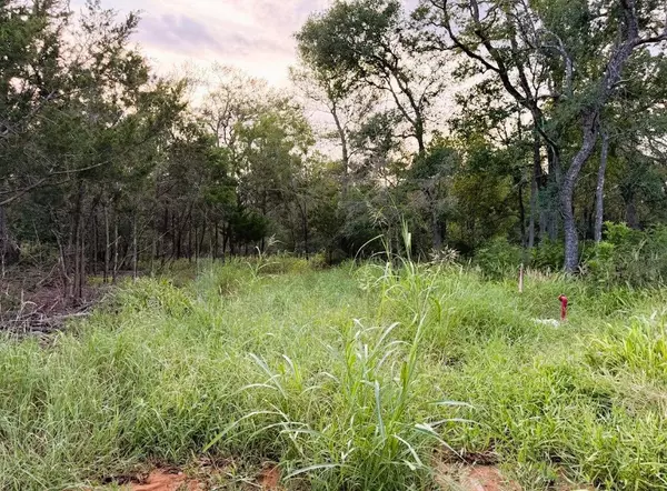 TBD Hilea Ct (lot 626) Hilea CT, Bastrop, TX 78602