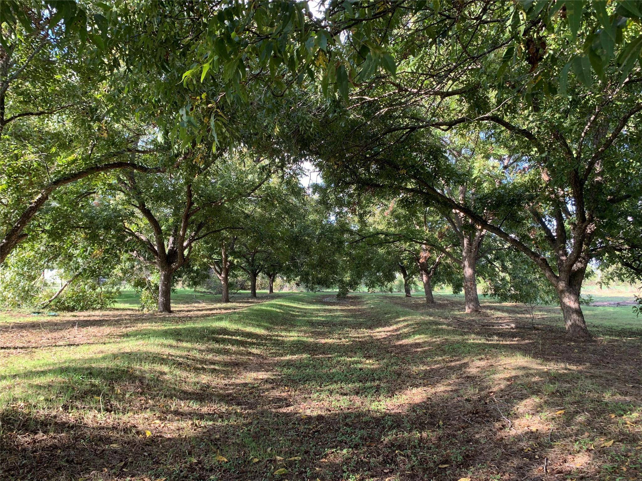 Seguin, TX 78155,263 Krams Creek RD