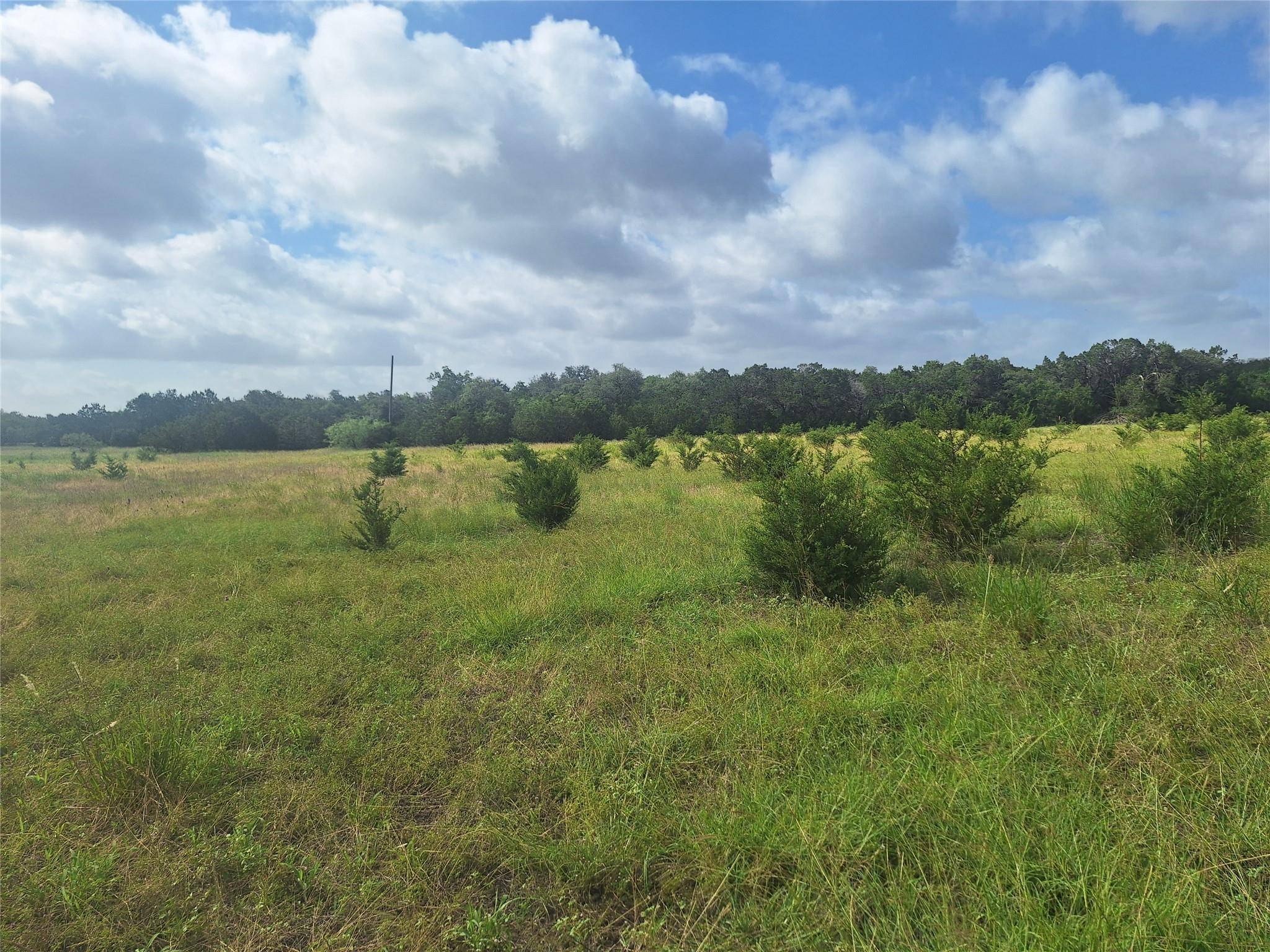 Georgetown, TX 79641,1483 County Road 281 RD