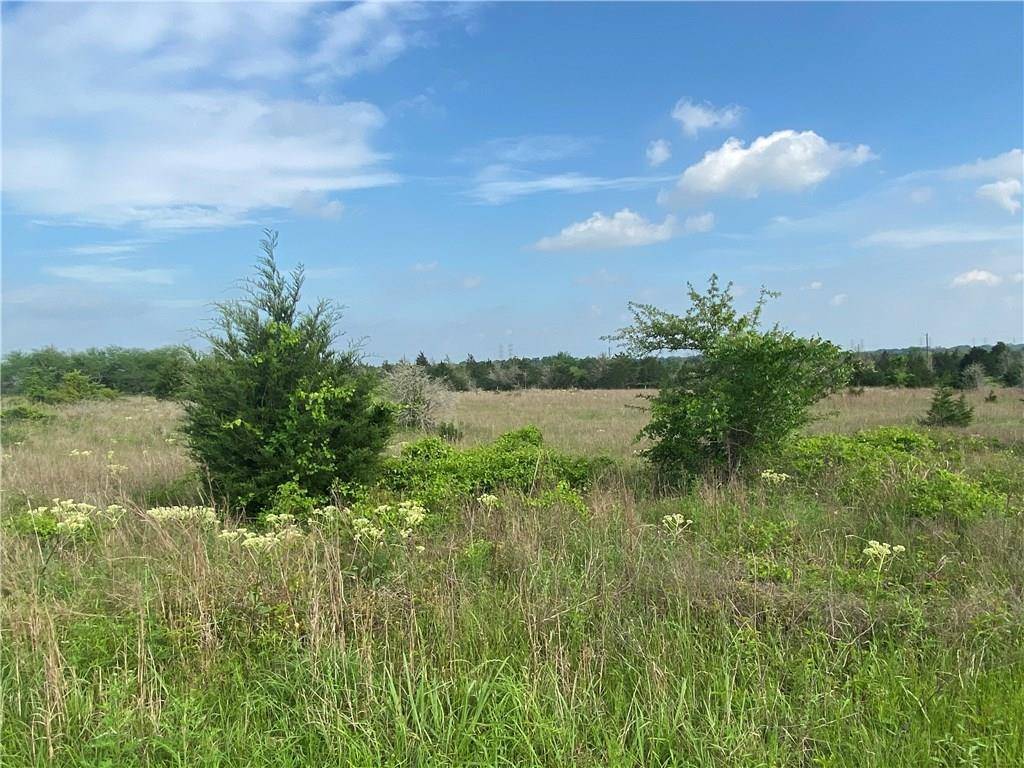 7446 W State Highway 159, Fayetteville, TX 78940