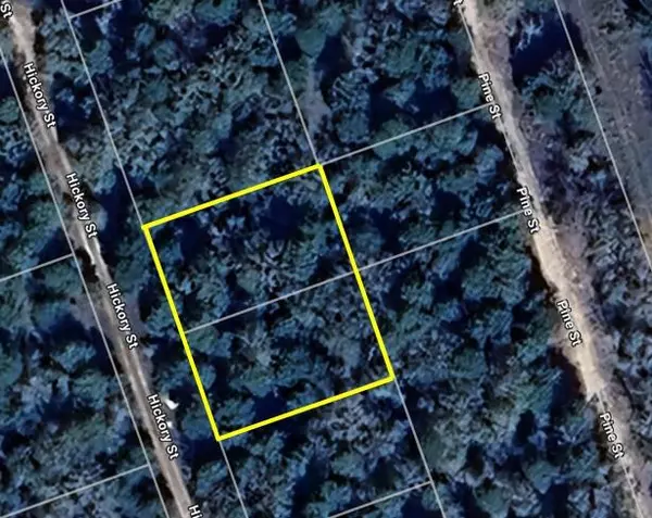 Paige, TX 78659,TBD Hickory ST