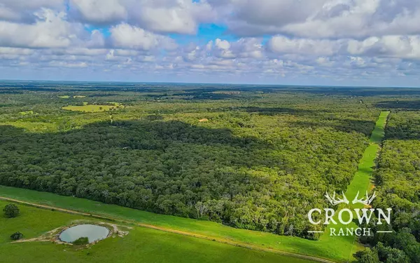 Caldwell, TX 77836,TBD FM 908 (+/-657 acres)