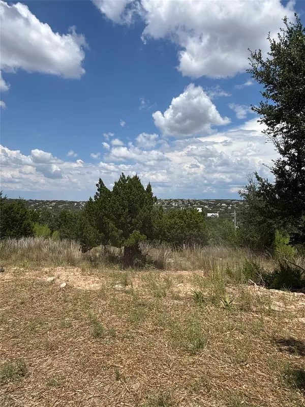 Austin, TX 78620,17623 PANORAMA DR