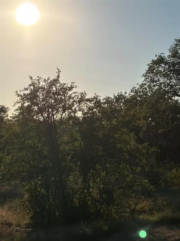 Spicewood, TX 78669,1212 County Road 407