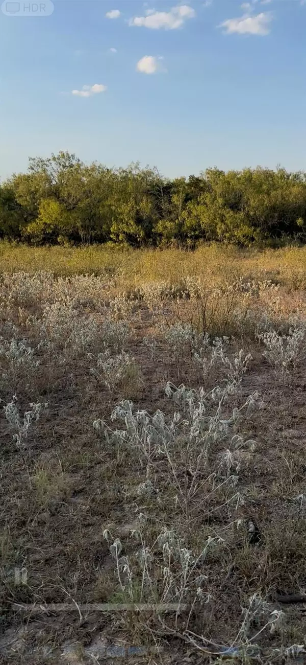 Dale, TX 78616,000 Carter RD