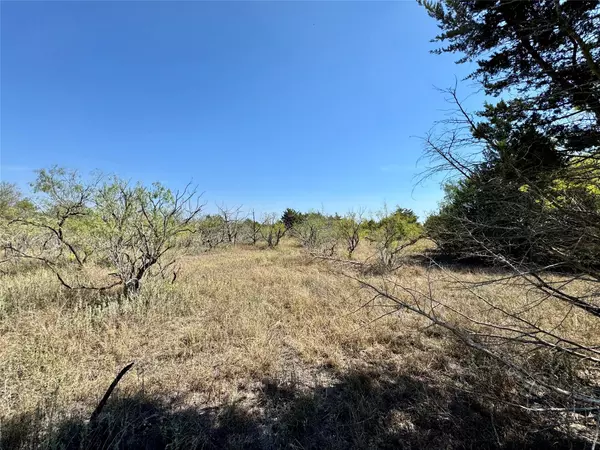 Austin, TX 78719,14312 Maha RD