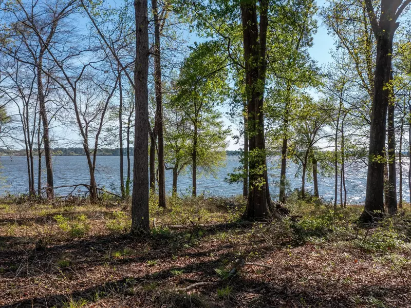 3108 Shadow Pine DR, Larue, TX 75770
