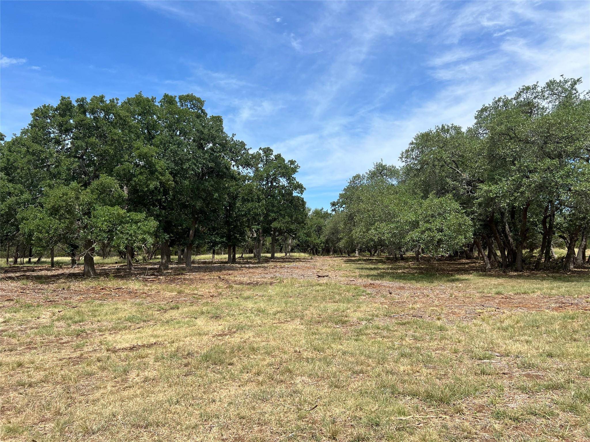 203 N Creekwood DR, Driftwood, TX 78619